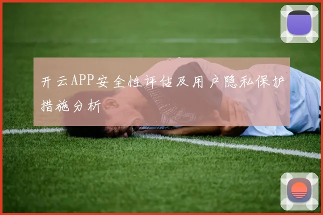 开云APP安全性评估及用户隐私保护措施分析