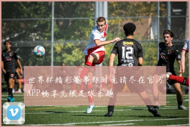世界杯精彩赛事即时竞猜尽在官方APP畅享无限足球乐趣