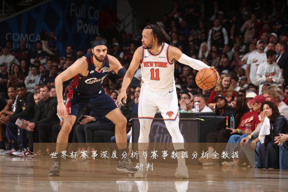 世界杯赛事深度分析与赛事数据分析全数据研判