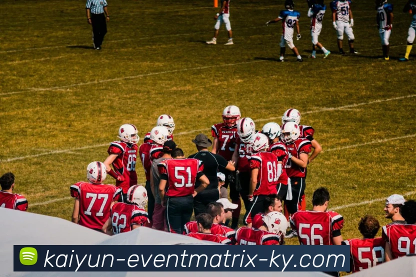 开云平台生态图